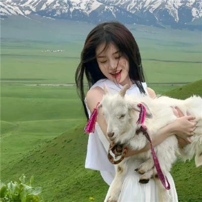 穿靴子的猫:萌猫三剑客